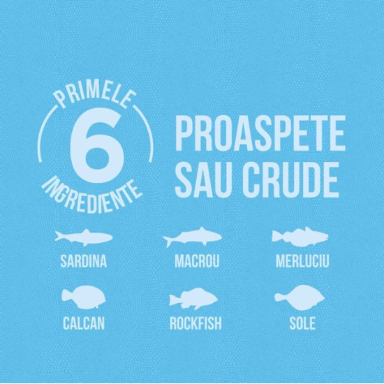 ORIJEN Six Fish – hrană uscată fără cereale pentru câini, cu pește, 11,4 kg